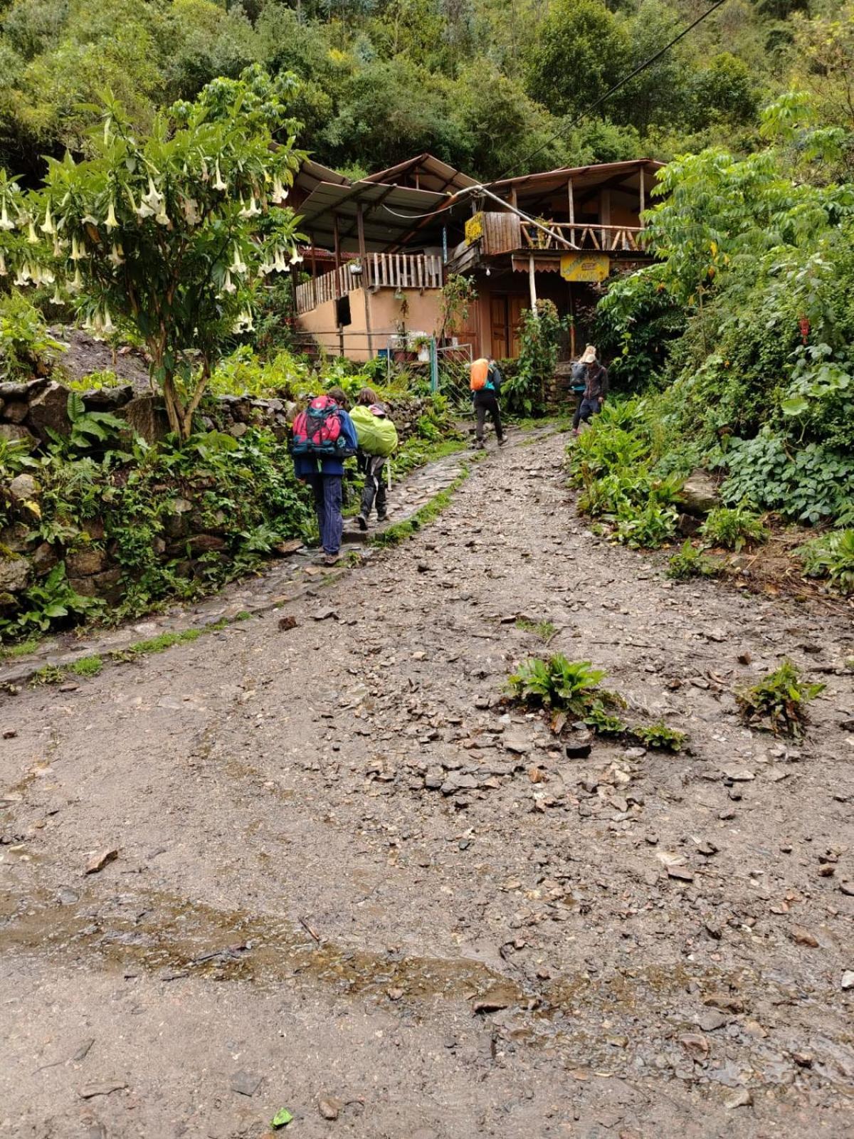 Hostel Samana Wasi Chaullay Cusco Eksteriør billede