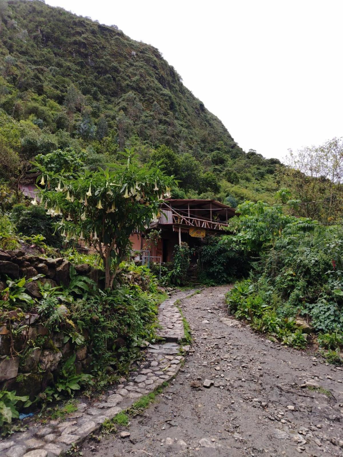 Hostel Samana Wasi Chaullay Cusco Eksteriør billede